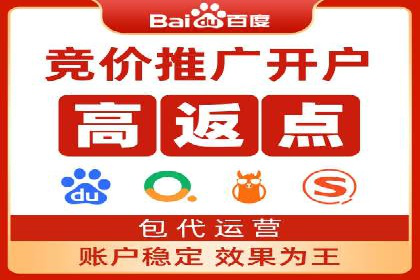 百度SEO推广策略全解析：某企业从零到一的成长历程